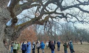 На кафедрі провели науковий семінар з актуальних проблем галузі